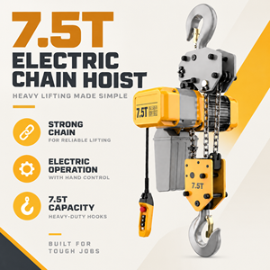 Polipasto Eléctrico Europeo de 7.5 Toneladas para Estructuras de Acero y Elevación de Equipos Pesados - Product Image 2