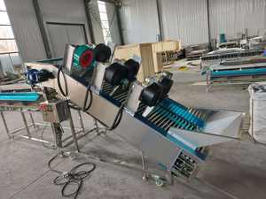 Trieuse orbitale à rouleaux pour pruneaux, ligne de tri multi-niveaux de type rail pour noisettes et agrumes, calibrage du diamètre - Product Image 5