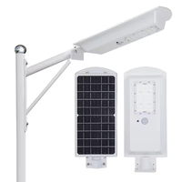 Lámpara Solar Monocristalina IP65 Todo en Uno con Batería LiFePO4, LED de Aleación de Aluminio, 6V DC, 80 CRI, Ángulo de Haz de 140°, Radar, para Jardín