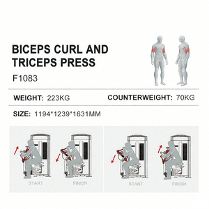 Biceps Curl Commercial Gym Arm Exercice Équipement Musculation Assis Biceps Curl <span class=keywords><strong>Triceps</strong></span> <span class=keywords><strong>Extension</strong></span> Machine - Product Image 2