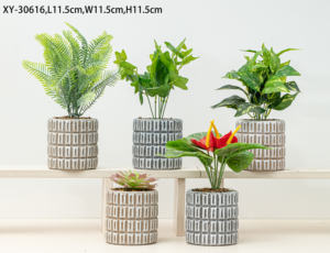 Macetas para Plantas Suculentas en Oferta, Macetas de Cemento Artificial para Plantas, Decoración Creativa de Escritorio con Plantas Suculentas - Product Image 3