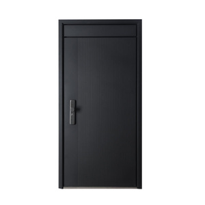 Puerta de Seguridad de Acero al por Mayor, Diseño de Puerta de Acero Inoxidable, Puertas de Acero Modernas para el Hogar - Product Image 4