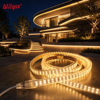 Bande LED étanche IP65 double rangée 40m 7x17mm 180 LED/m Fil doré pur découpable 50cm 220V Garantie 5 ans Aménagement paysager