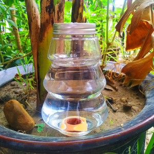 Dispositivo de Riego Automático de 500 ml, Sistema de Riego por Goteo de Plástico para Suculentas y Plantas de Interior - Product Image 3