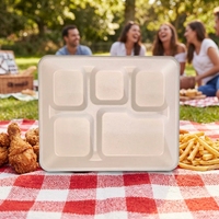 Assiettes jetables biodégradables et compostables à 5 compartiments, résistantes à l'huile et à l'eau, 100 % écologiques, pour le déjeuner et les fêtes