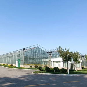 Invernadero Agrícola Hidropónico Económico de Gran Tamaño y Múltiples Vãneas, Personalizado para Cultivo de Tomate, Fresa y Pepino, Sistema Completo de Cultivo en Vidrio - Product Image 6