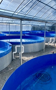 Mạ kẽm xử lý nước máy móc cho nuôi trồng thủy sản ao cá lưu trữ - Product Image 3