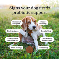 Probiotiques OEM Enzymes Digestives à Mâcher pour Chiens – Friandises Probiotiques pour la Santé Intestinale, Anti-Diarrhée, Constipation, Maux d'Estomac, Soulagement des Gaz