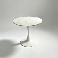 Table basse moderne de luxe en métal, design élégant pour salon, meubles de maison
