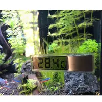 Thermomètre numérique électronique pour Aquarium, étanche, LCD, température de l'eau, tortue, poissons, décoration, nouveauté