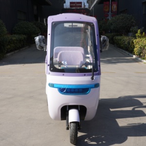 Tricycle familial, petit tricycle réglable à trois places pour 3 personnes - Product Image 2
