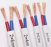 Câble électrique plat à 2 conducteurs Câble d'alimentation toronné isolé en cuivre PVC 2x1,5mm 2/2/2/4mm 2/6mm/mm2 pour application souterraine