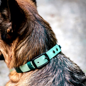 Polyester Dog Martingale Collar <b>PVC</b>-Coated Tactical Cute Durable Soft Solid Pattern Adjustable Breakaway Quick Release - Product Image 3