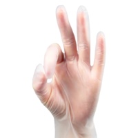Gants jetables en vinyle de qualité alimentaire pour la cuisine