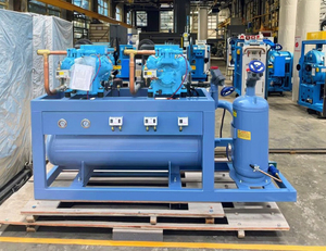 Unidad Condensadora de 100HP/200HP para Refrigeración, Intercambiador de Calor para Congelación en Cámaras Frigoríficas, con Compresor Semihermético Paralelo - Product Image 6