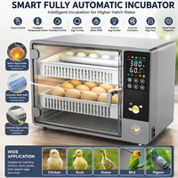 Incubateur automatique mini 50 œufs avec contrôle de l'humidité, double alimentation, plateau rotatif, taux d'éclosion de 98 % pour œufs d'oiseaux et de reptiles