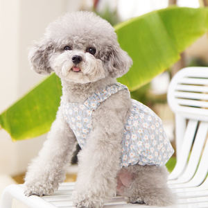 Vestido de verano con estampado Floral de calabaza y perro, diseño de encaje, medio círculo, novedad de <span class=keywords><strong>2022</strong></span> - Product Image 2