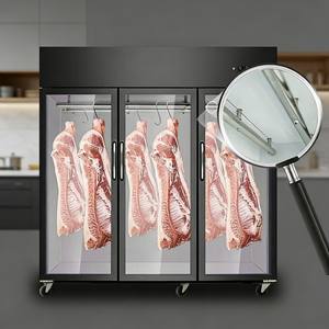 Amplia Gama de Usos: Congeladores, Refrigeradores y Refrigeradores Comerciales para la Industria Hotelera - Product Image 3