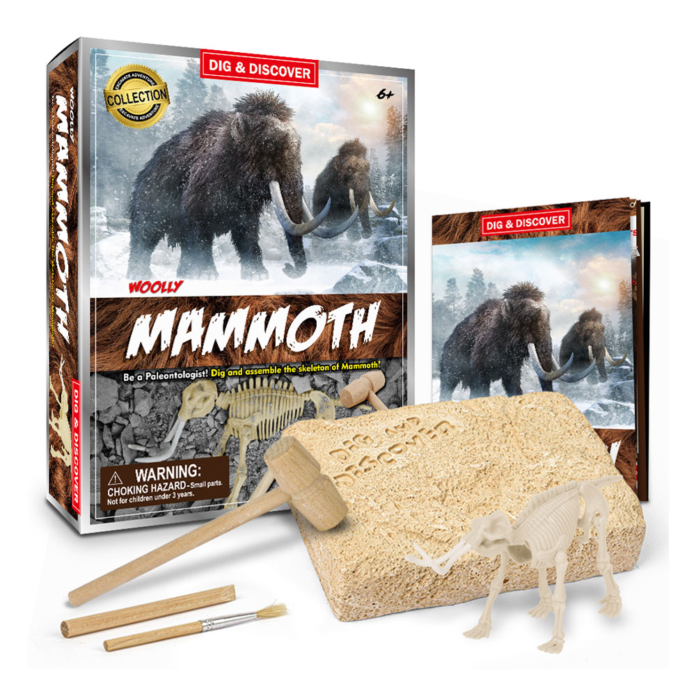 Kits de fouille mammouth