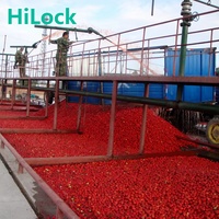 Ligne de production de sauce tomate, de jus, de confiture, de ketchup et de purée de tomates en acier inoxydable contrôlée par PLC