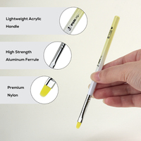 Nouvel ensemble professionnel de pinceaux pour nail art 2026 avec manche en acrylique dégradé, pinceau de précision en nylon pour la peinture et le design de vernis gel
