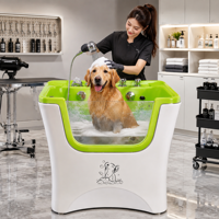 Baignoire Spa en Acrylique Transparente à Finition Brillante avec Hydro-Massage pour Salon