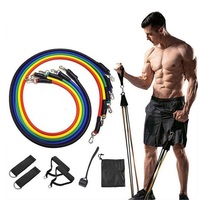 Ensemble de 11 bandes de résistance avec poignées d'ancrage pour porte, sangles de cheville pour l'entraînement complet du corps, salle de sport à domicile