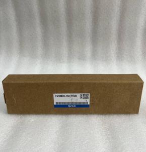 กระบอกลมแบบสองแกน SMC รุ่น CXSM20-100-Y59B - Product Image 1