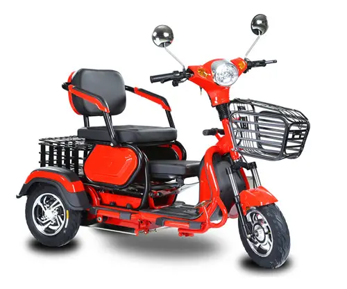 Adult Electric Tricycle Three wheelers 48V500W Differential Motor