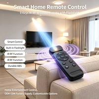Control Remoto Inteligente IR de 9 Teclas con Linterna Integrada, Fabricación OEM ODM JCXK, Control Remoto Inalámbrico Personalizado de I+D