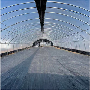 Structure de <span class=keywords><strong>serre</strong></span> commerciale <span class=keywords><strong>tunnel</strong></span> monopente, petite, en PE et acier galvanisé, kit de cadre configurable avec <span class=keywords><strong>filet</strong></span> <span class=keywords><strong>d</strong></span>'<span class=keywords><strong>ombrage</strong></span> <span class=keywords><strong>pour</strong></span> le refroidissement - Product Image 1