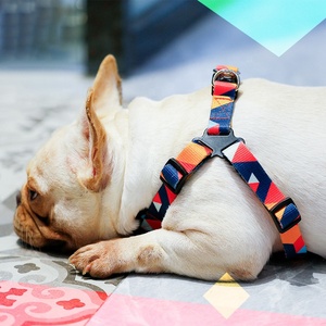Artículos para Mascotas al por mayor, collares para accesorios, productos para mascotas - Product Image 4