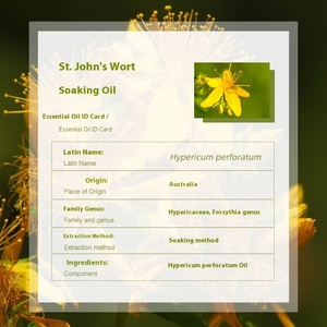 All'ingrosso 100% pura natura biologica di prima qualità olio vettore Base per il viso aromaterapia cura della pelle idratante St. olio di erba di giovanni - Product Image 3