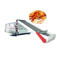 Automatische Industriële Droger Met Hoge Capaciteit Van De Chinese Fabriek Fruitvoedseldehydrator Met Gaasband Voor Het Droogmaken Van Maïs