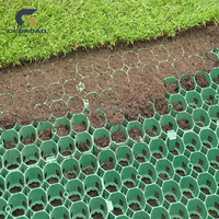 Grille d'herbe de gravier de HDPE de dessus lisse de la taille 48mm utilisée pour le parking de voiture d'allée d'herbe