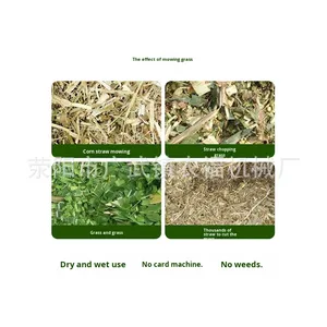 Nuevo <span class=keywords><strong>Picador</strong></span> de Pasto Seco y Húmedo, Cortador Horizontal de Tallos de Maíz, Trituradora de Alimentos, Pequeño Triturador Doméstico de 220v, Alimentador de Ganado Ovino, 3 Meses - Product Image 4