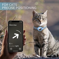 Pour Airtag Case collier de chat collier réfléchissant réglable pour animaux de compagnie Anti-perte Tracker chien chat localisateur concepteur chien chat collier