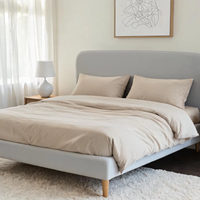 Base de Cama Moderna Tapizada en Tela Gris Claro, Tamaño Queen, Fácil de Montar, Ideal para Apartamentos de Alquiler
