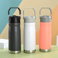 Thermos isotherme portable en acier inoxydable à double paroi de 650 ml avec paille et poignée, idéal pour les sports de plein air, les voyages et les cadeaux d'affaires