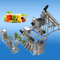 Complete productielijn voor ananassap, industriële drankenverwerkingsmachines, voedselveilige roestvrijstalen 304-motor