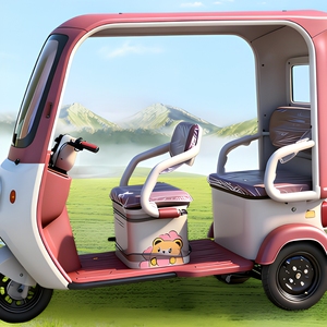 Triciclo Familiar de Tres Ruedas con Opciones de Color Personalizables y Techo, Capacidad para Pasajeros, Capacidad para Acomodar Cómodamente hasta 2 Pasajeros - Product Image 6