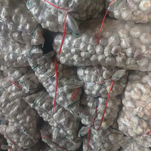 Qualidade Premium Red Fresh Alho Pesticida Livre Ajo Chino Ail Frais para Alho Pó Importador nos Emirados Árabes Unidos - Product Image 4