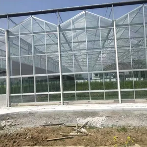 农业温室中国低成本节能太阳能草莓薄膜多跨隧道塑料薄膜温室