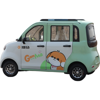 Voiture électrique domestique à basse vitesse, 2 rangées, 4 places, pour adultes, mini-voiture électrique 800W, 30-40KM/H, véhicule électrique