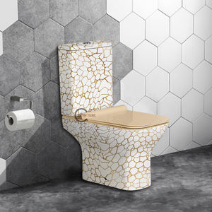 WC promotionnel durable en céramique colorée à deux pièces, à poser au sol, pour salle de bain - Product Image 1