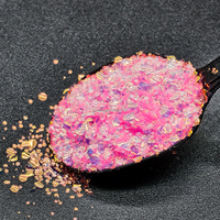 Nouveauté 2026 : Paillettes irisées effet bulle Symphony pour la fabrication de chaussures et la décoration de vêtements
