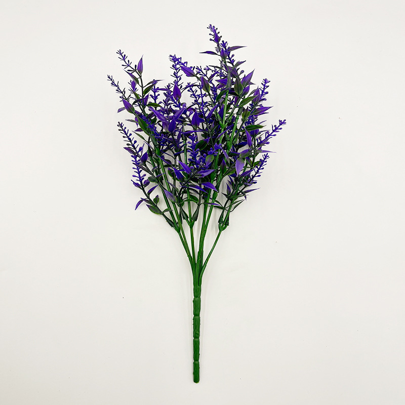 Pourpre