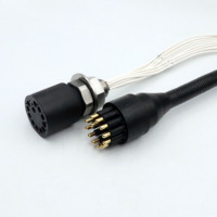 HYSF BH12M Connecteur Sous-Marin Mâle/Femelle 12 Broches DC pour Environnements Marins Profonds IP69 en Acier Inoxydable Plaqué Or Cuivre 550V 10A