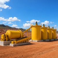 Système de lixiviation de l'or CIL à haut rendement, équipement d'usine de traitement pour l'extraction d'or dans les roches dures, de haute qualité