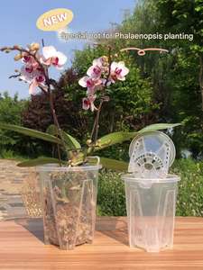 <span class=keywords><strong>2025</strong></span> 새로운 도착 투명 보육 냄비 4 인치 다양한 식물에 이상적인 구멍 - Product Image 2